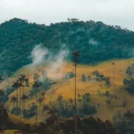 Colombia digital nomad visa