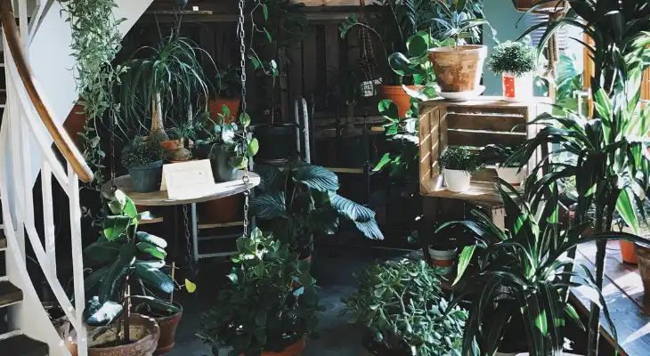 DIY Indoor garden